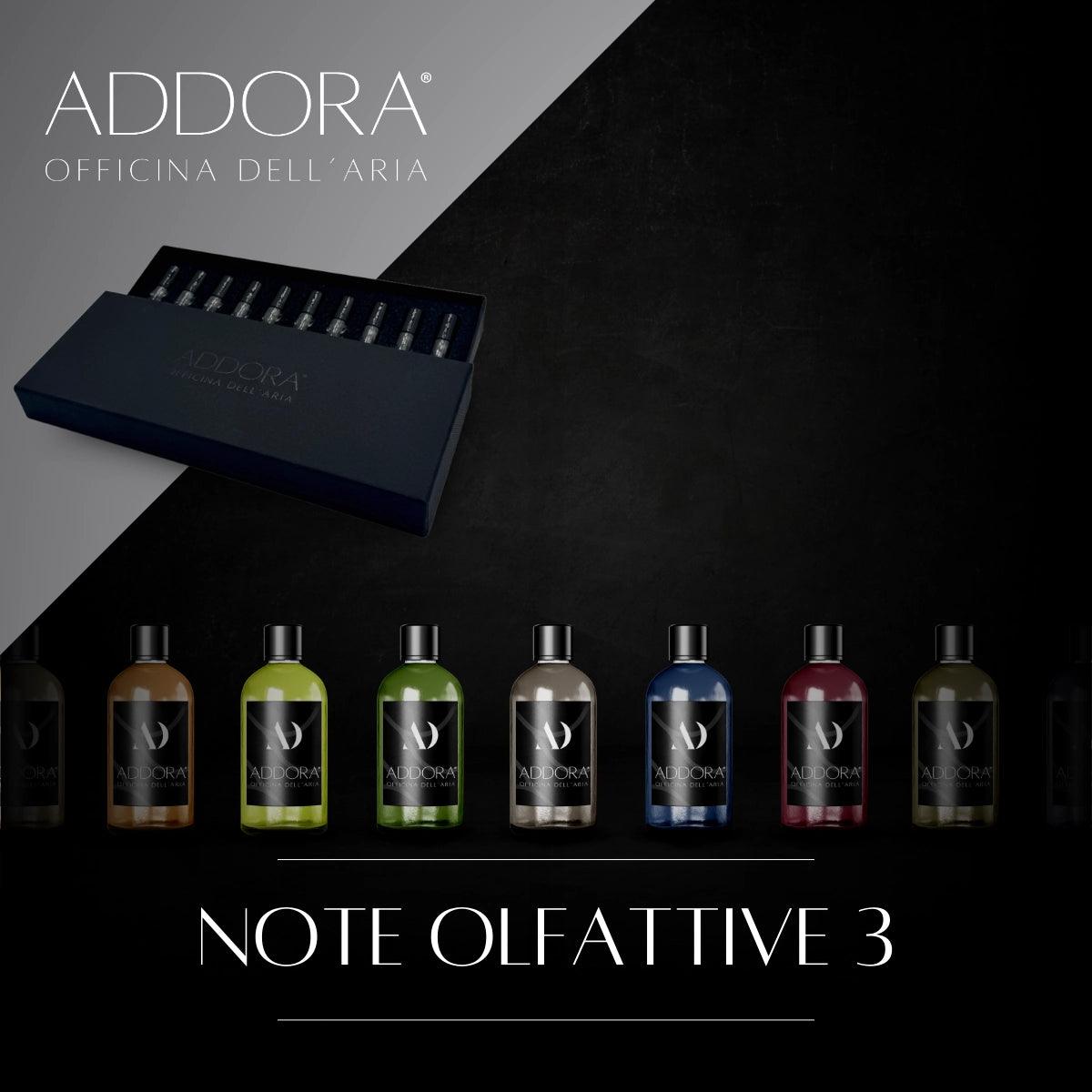 Discovery Kit | sample 10 pezzi