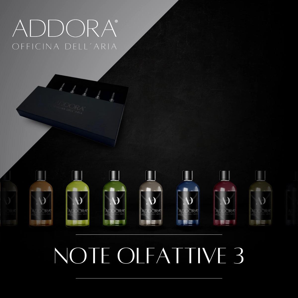 Discovery Kit | sample 5 pezzi