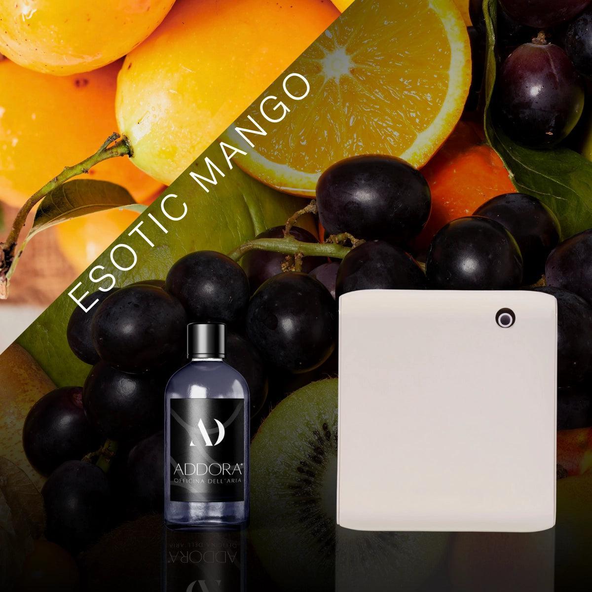 Kit Combo Narciso + Fragranza Fruttato