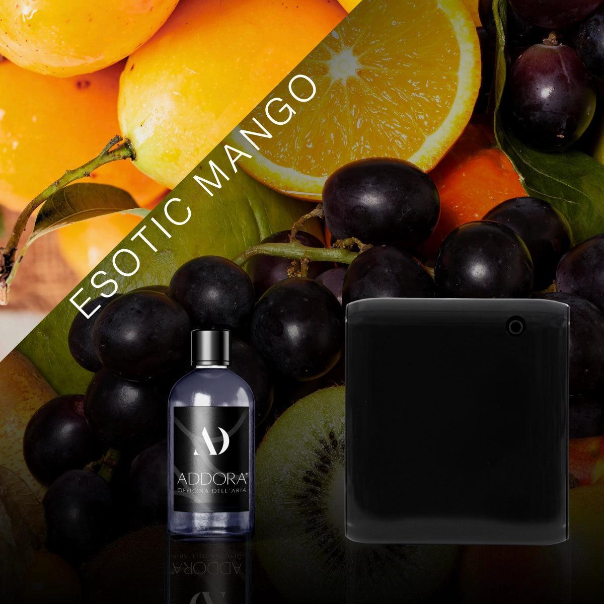 Kit Combo Narciso + Fragranza Fruttato
