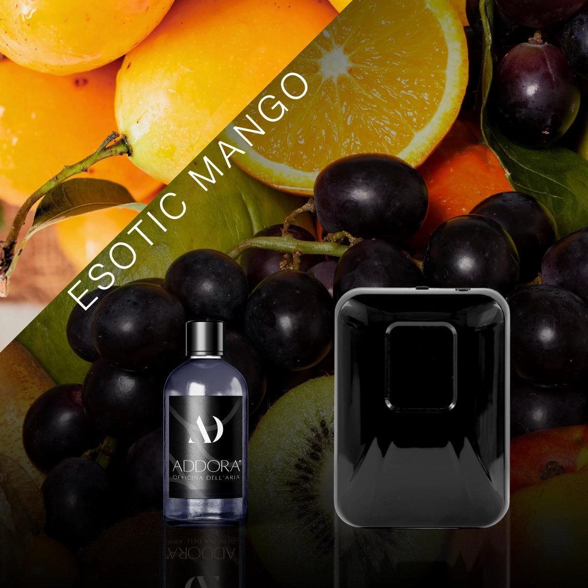 Kit Combo Chloè + Fragranza Fruttato