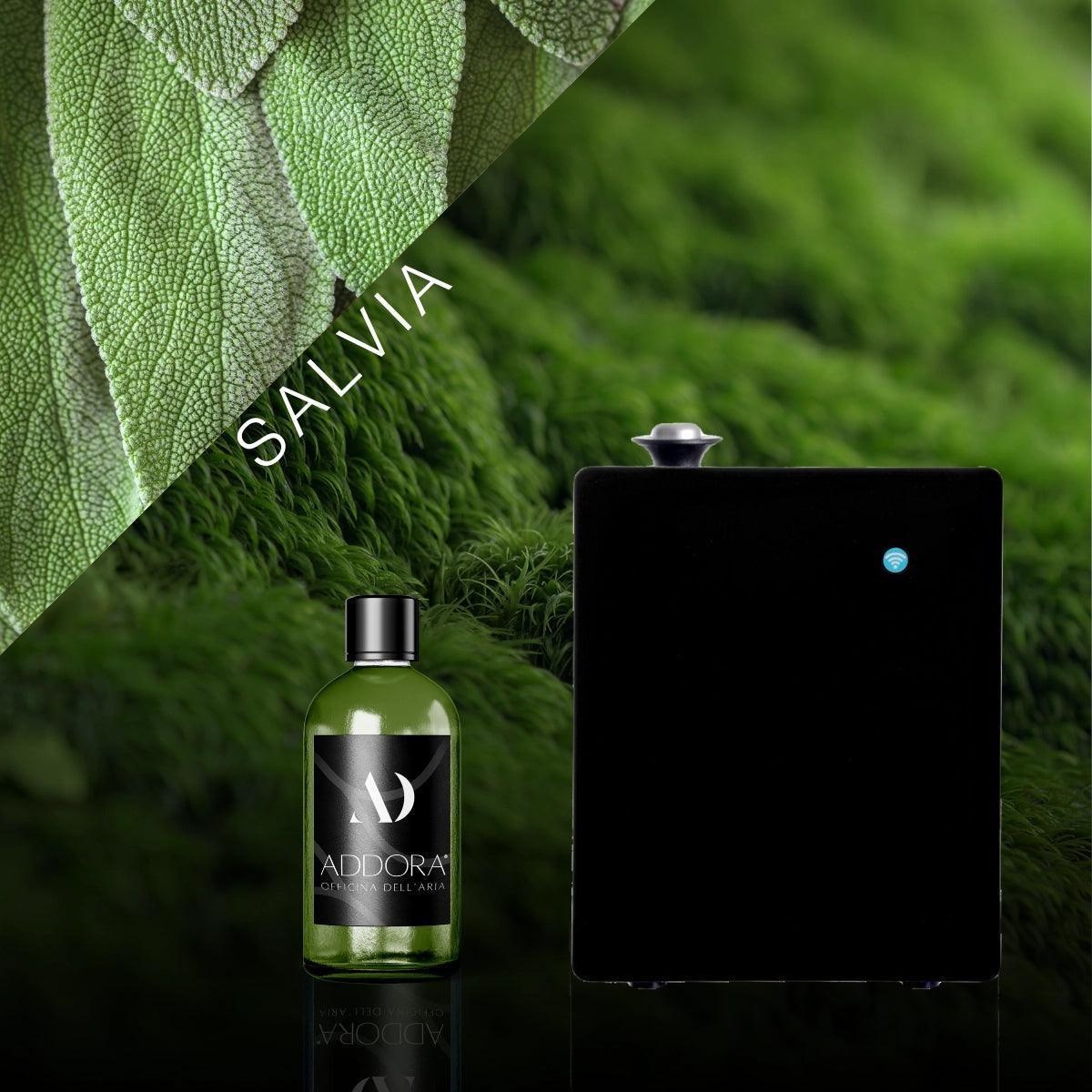 Kit Combo Hugo Plus + Fragranza Green