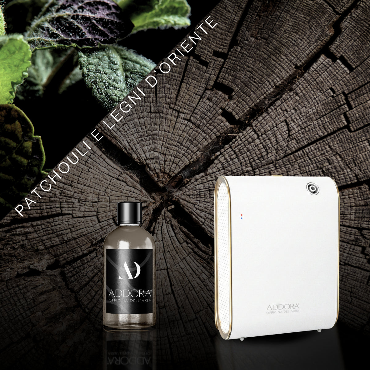 Kit Combo Celine + Fragranze Legnoso