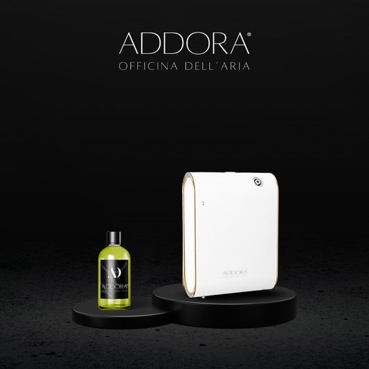 Kit Combo Celine + Fragranze Agrumi