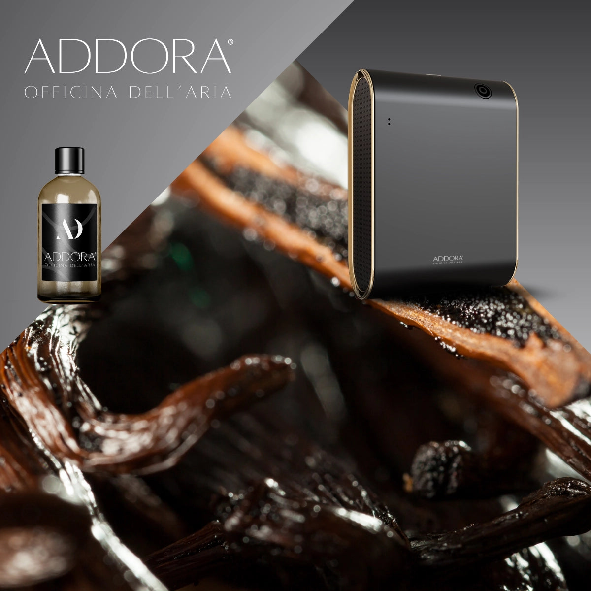 Kit Combo Celine + Fragranze Gourmand
