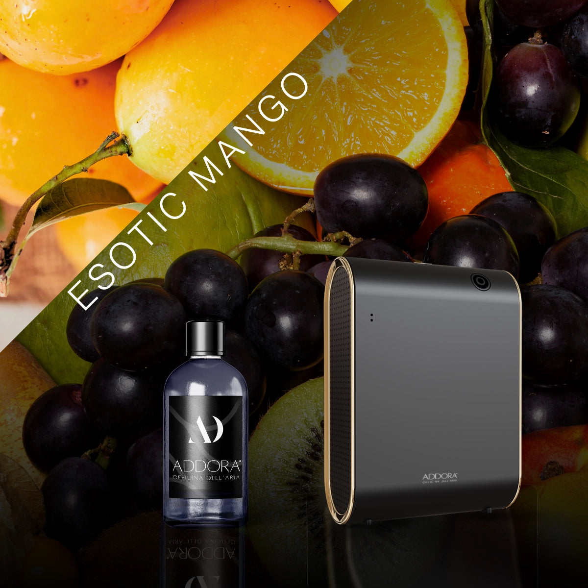 Kit Combo Celine + Fragranze Fruttato