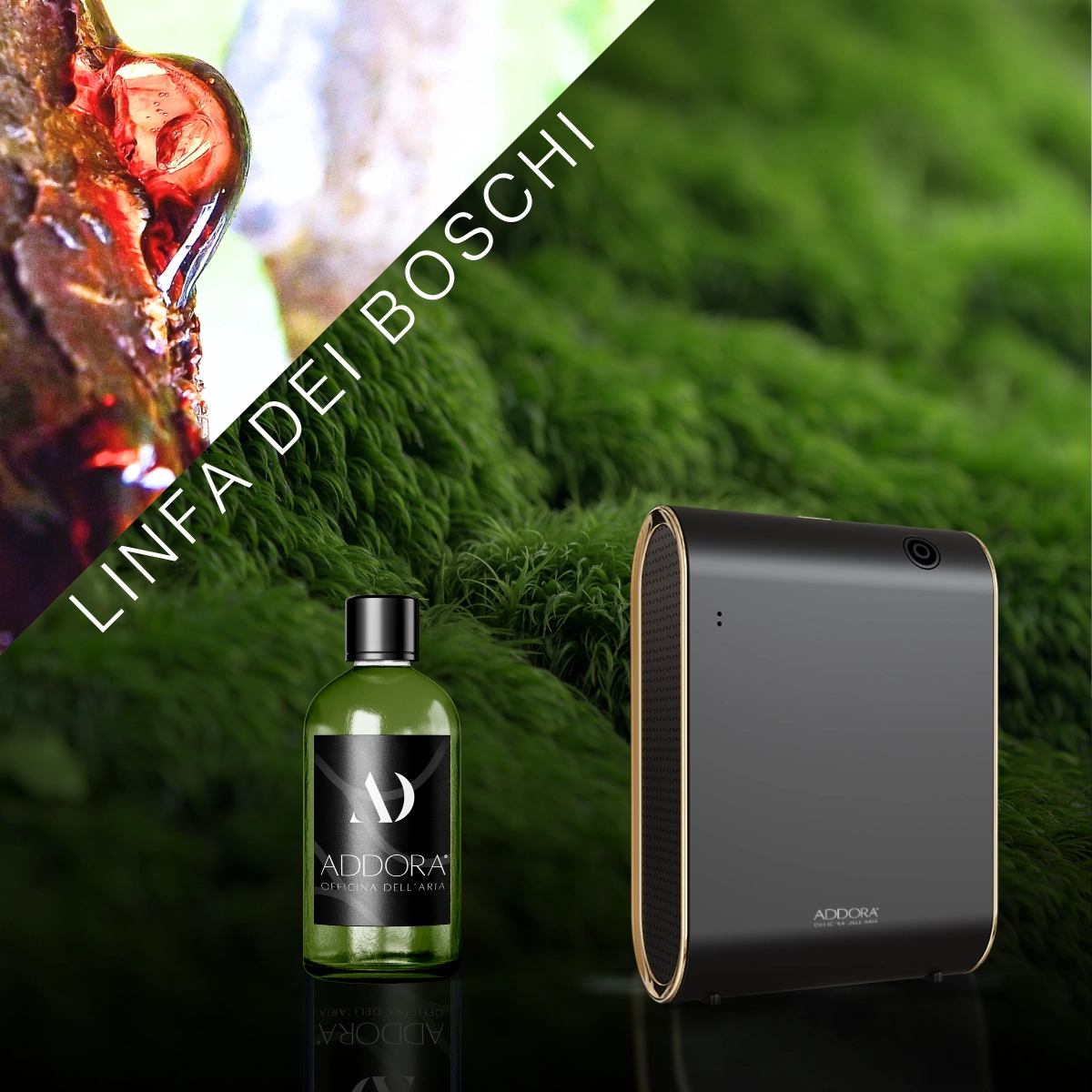 Kit Combo Celine + Fragranze Green