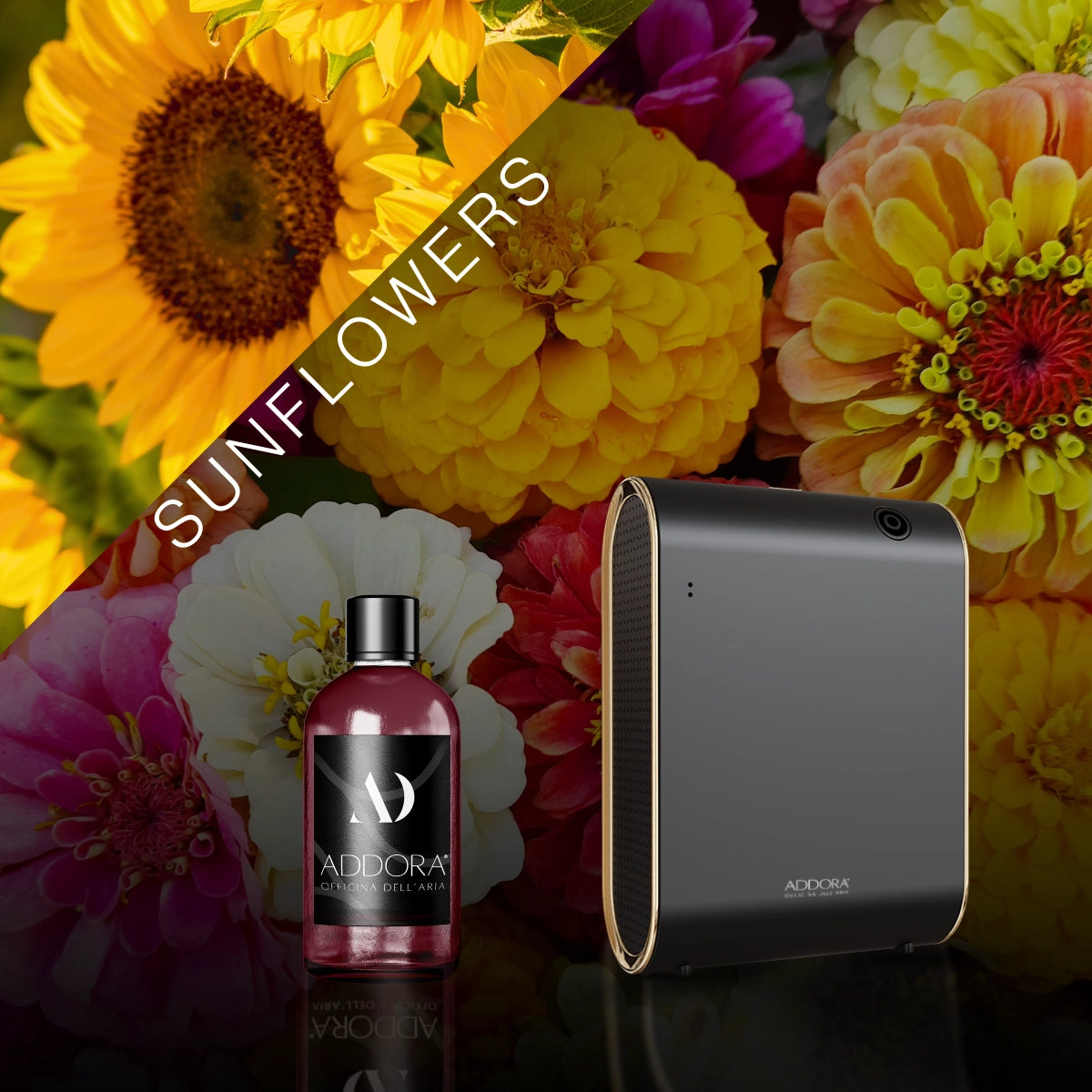 Kit Combo Celine + Fragranze Fiorito