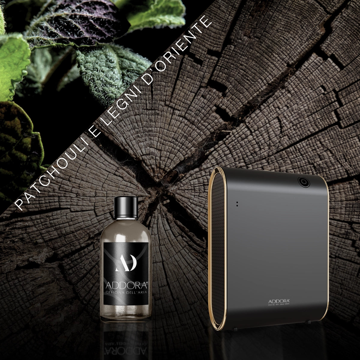 Kit Combo Celine + Fragranze Legnoso