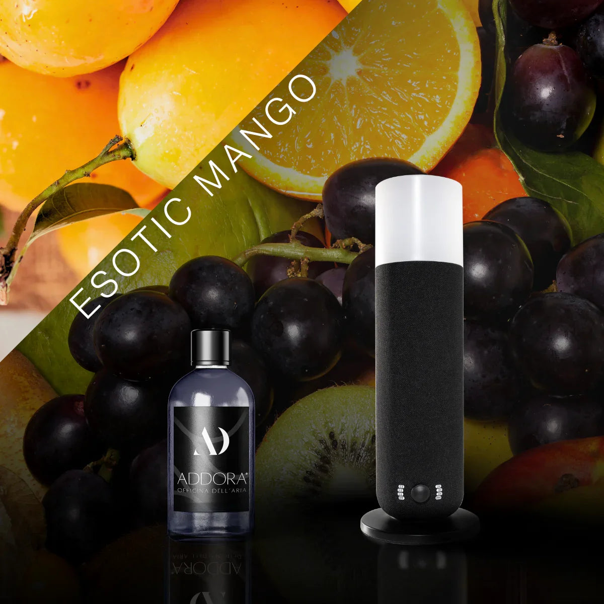 Kit Combo Dina + Fragranze Fruttato