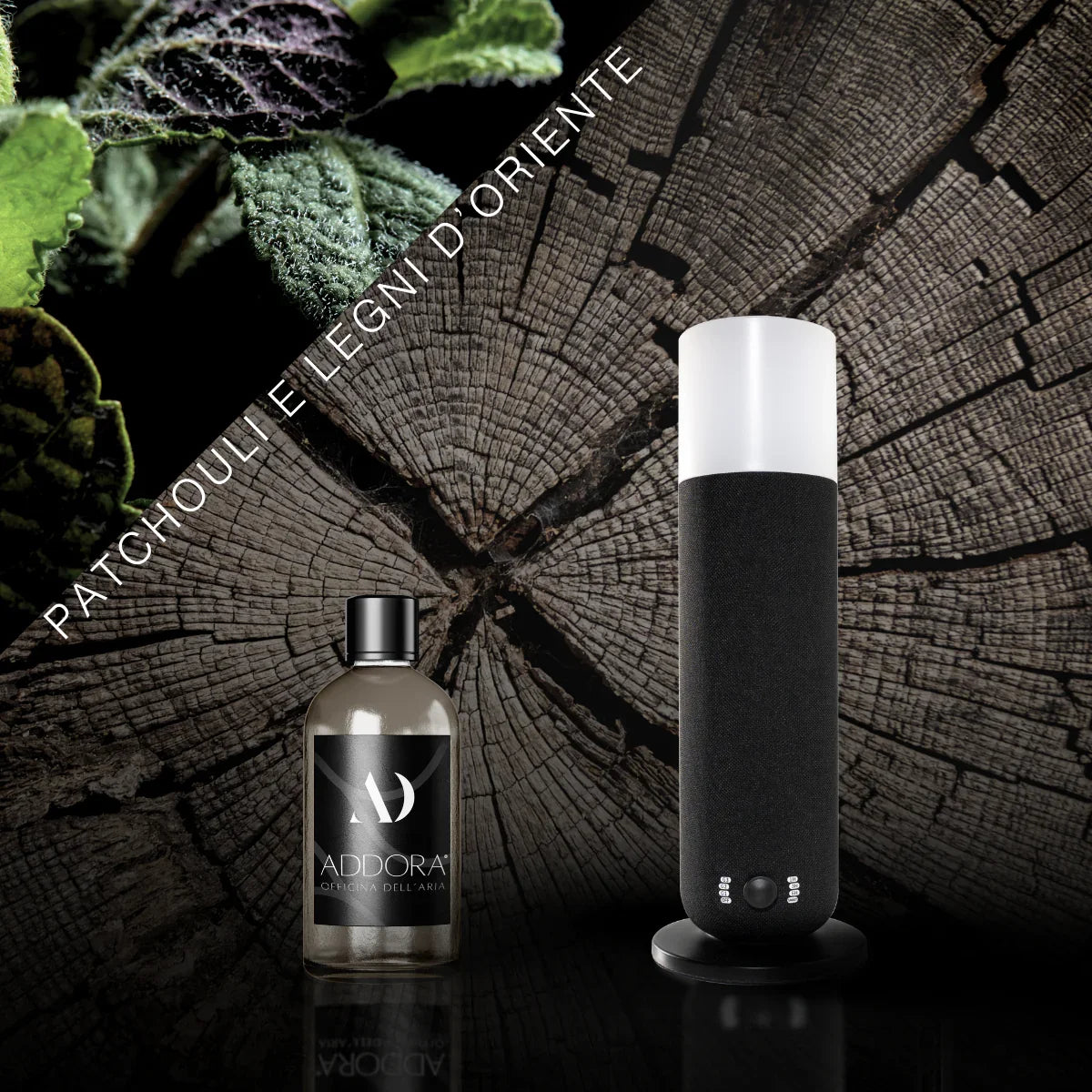 Kit Combo Dina + Fragranze Legnoso