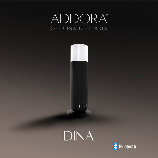 Diffusore parfum DINA