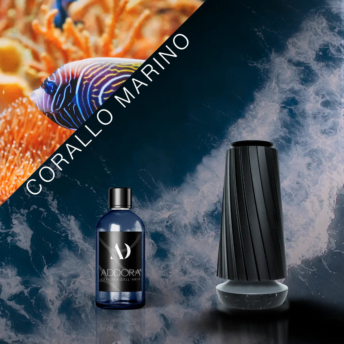 Kit Combo Dino + fragranze Marino