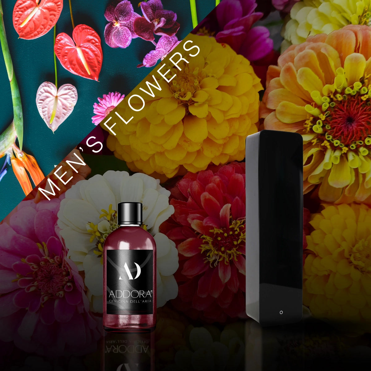 Kit Combo Lia + Fragranze Fiorito