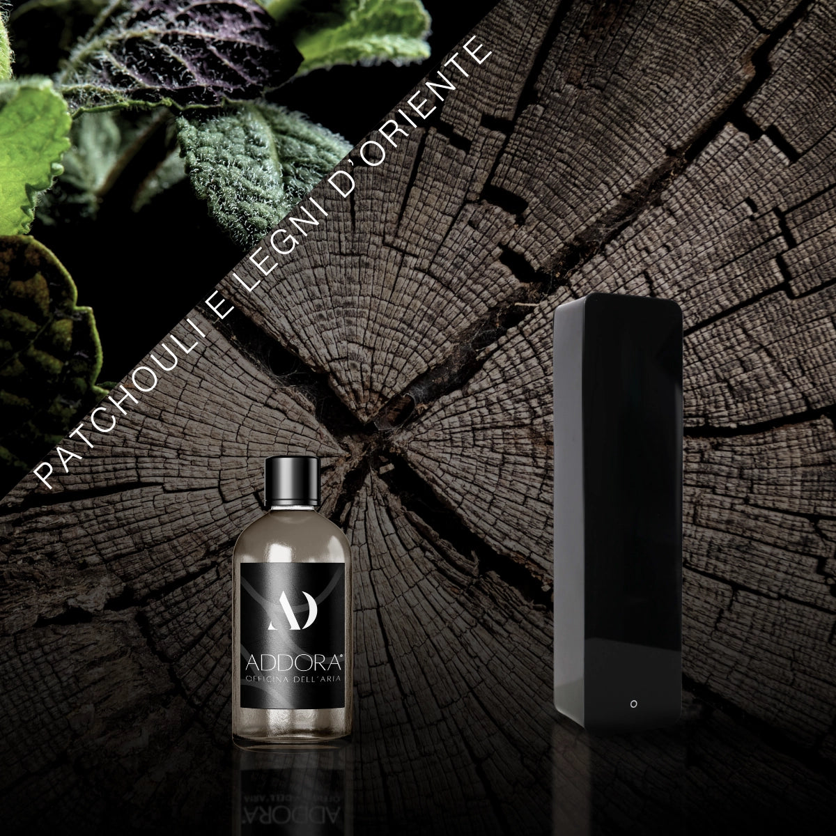 Kit Combo Lia + Fragranze Legnoso