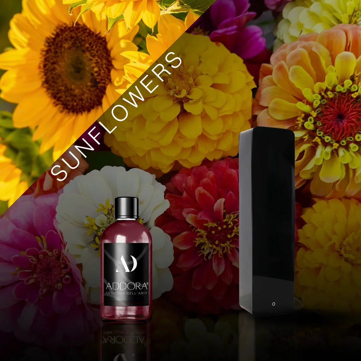 Kit Combo Lia + Fragranze Fiorito