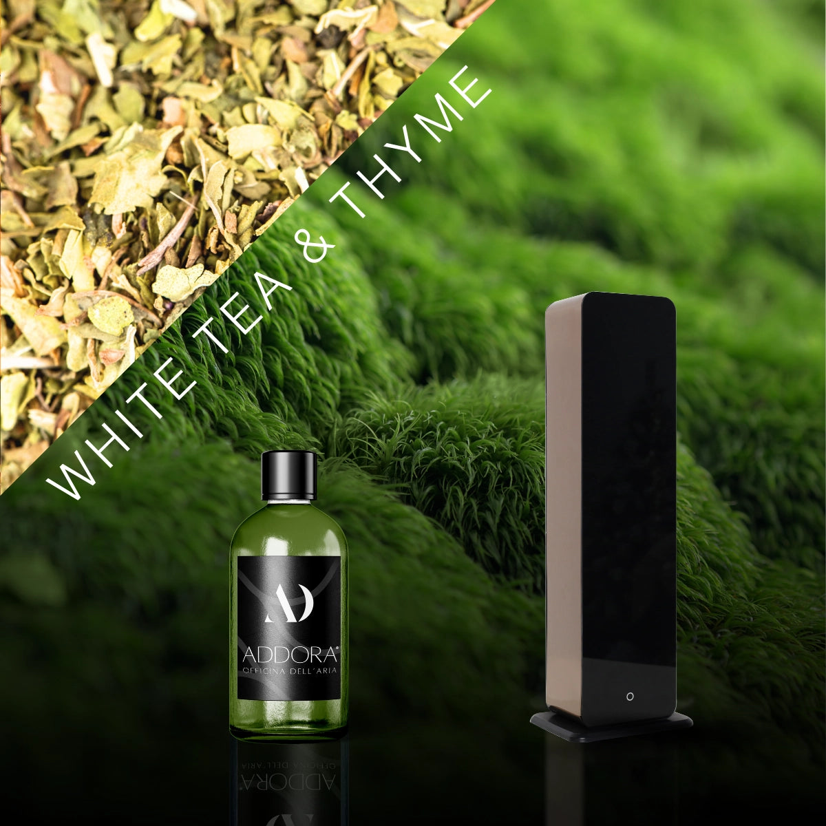 Kit Combo Lia + Fragranze Green