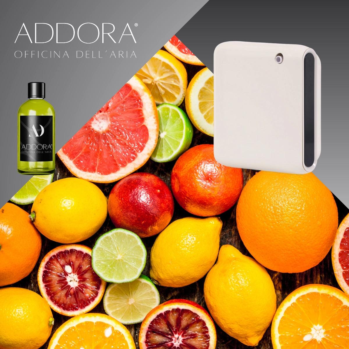 pacchetto narciso agrumi