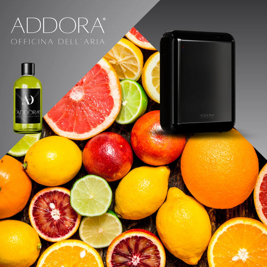 Kit Combo Nino + Fragranze Agrumi