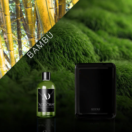 Kit Combo Nino + Fragranze Green