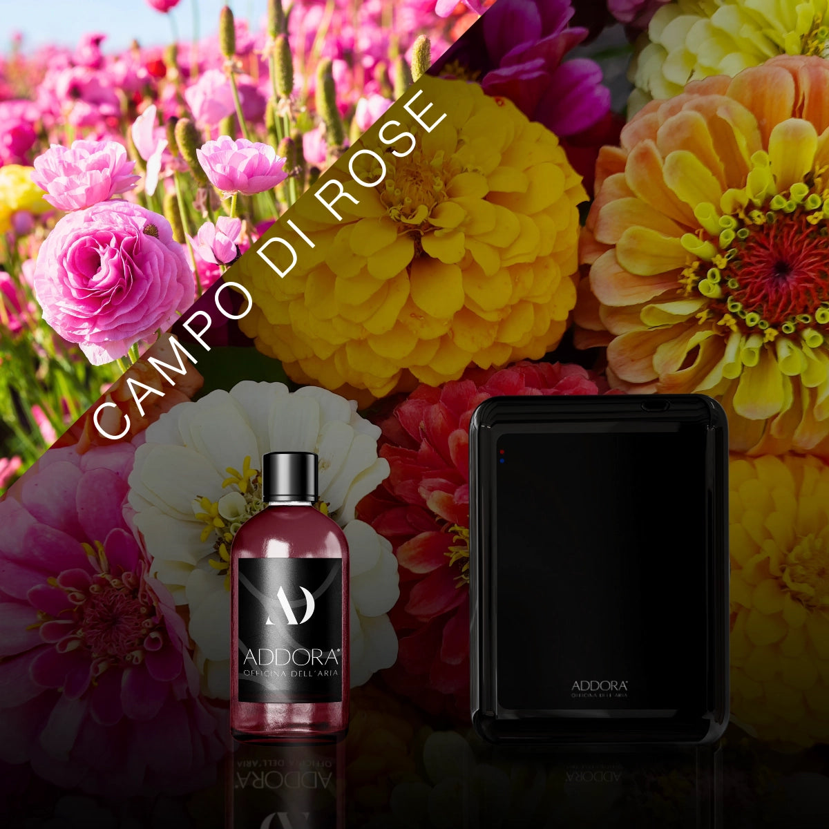 Kit Combo Nino + Fragranze Fiorito
