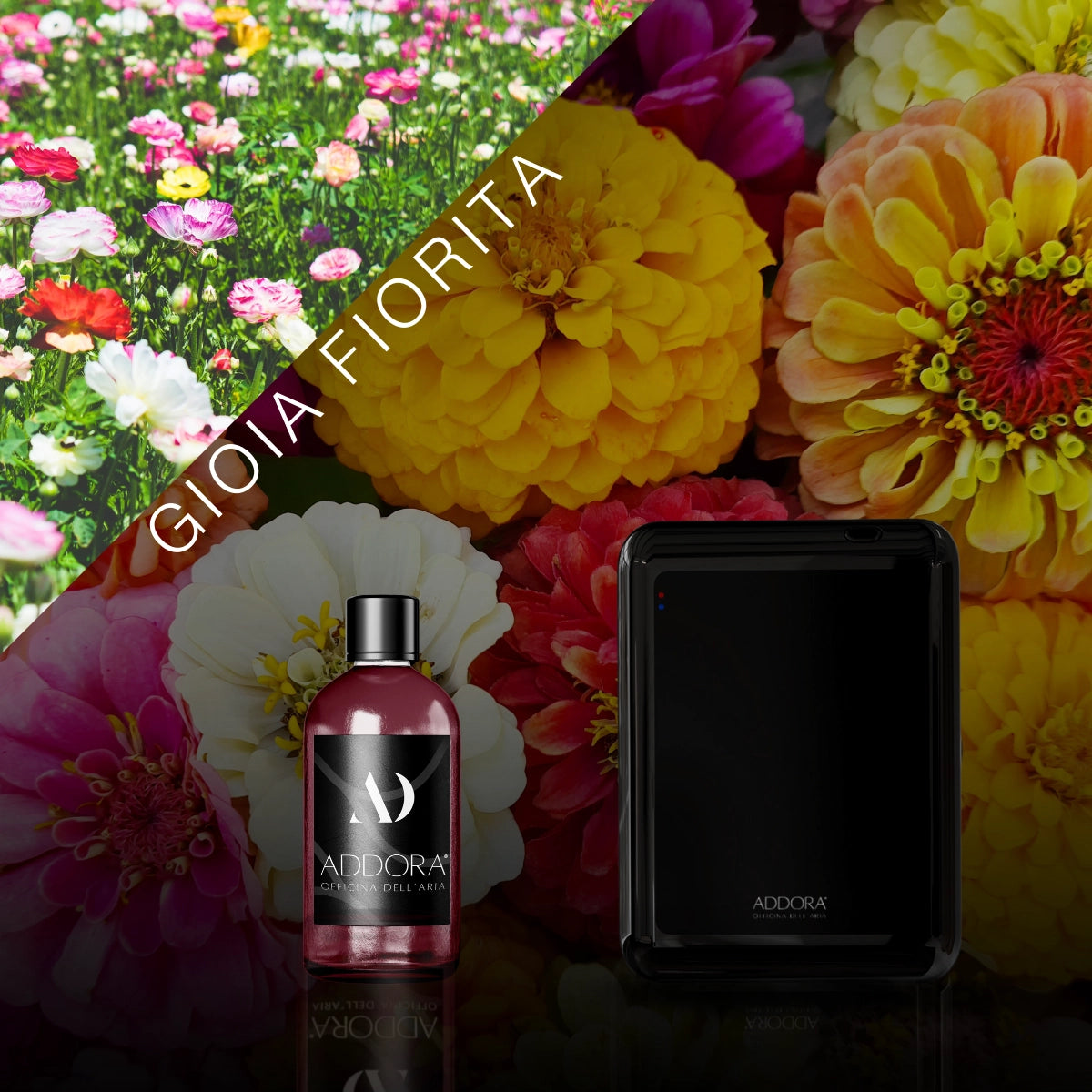Kit Combo Nino + Fragranze Fiorito