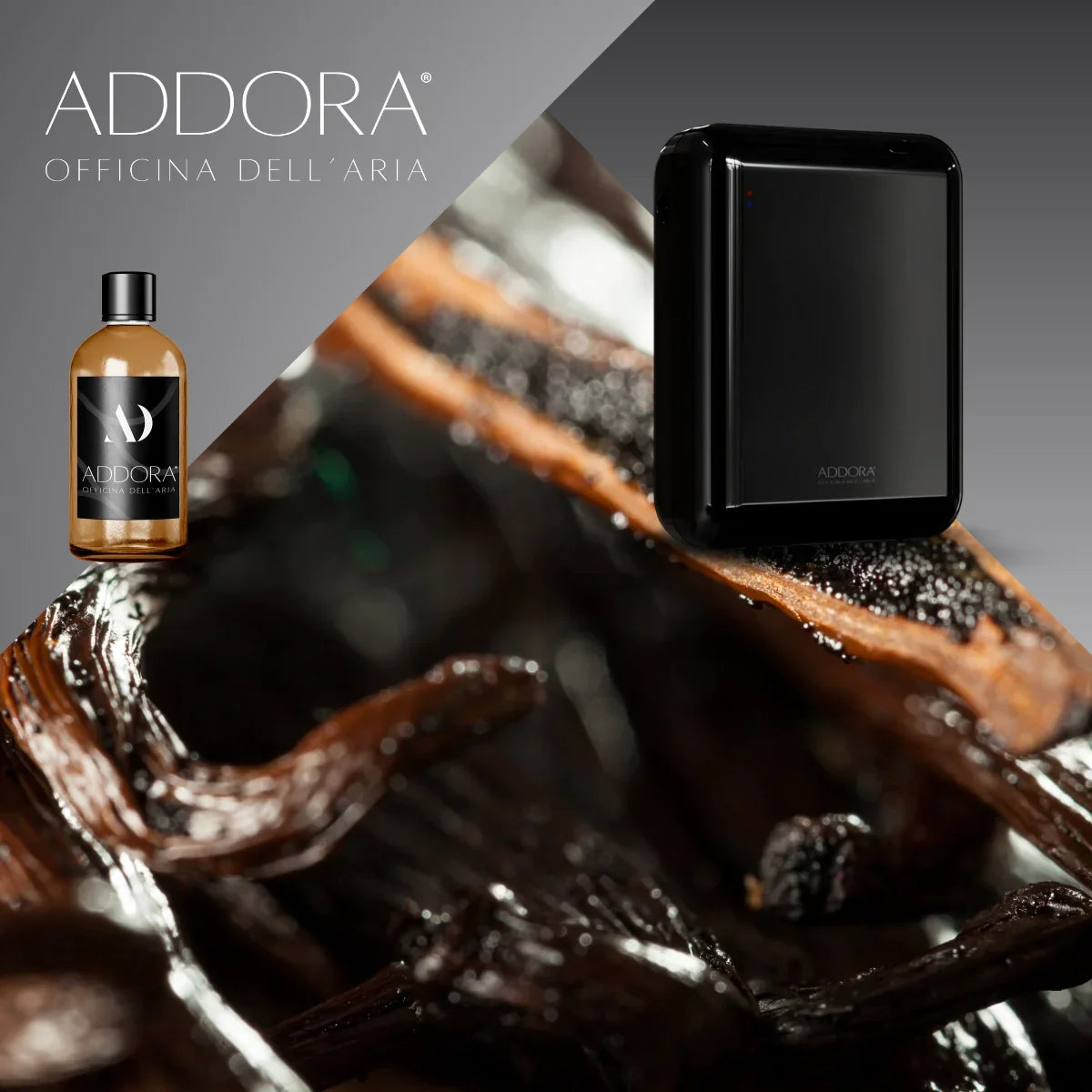 Kit Combo Nino + Fragranze Gourmand