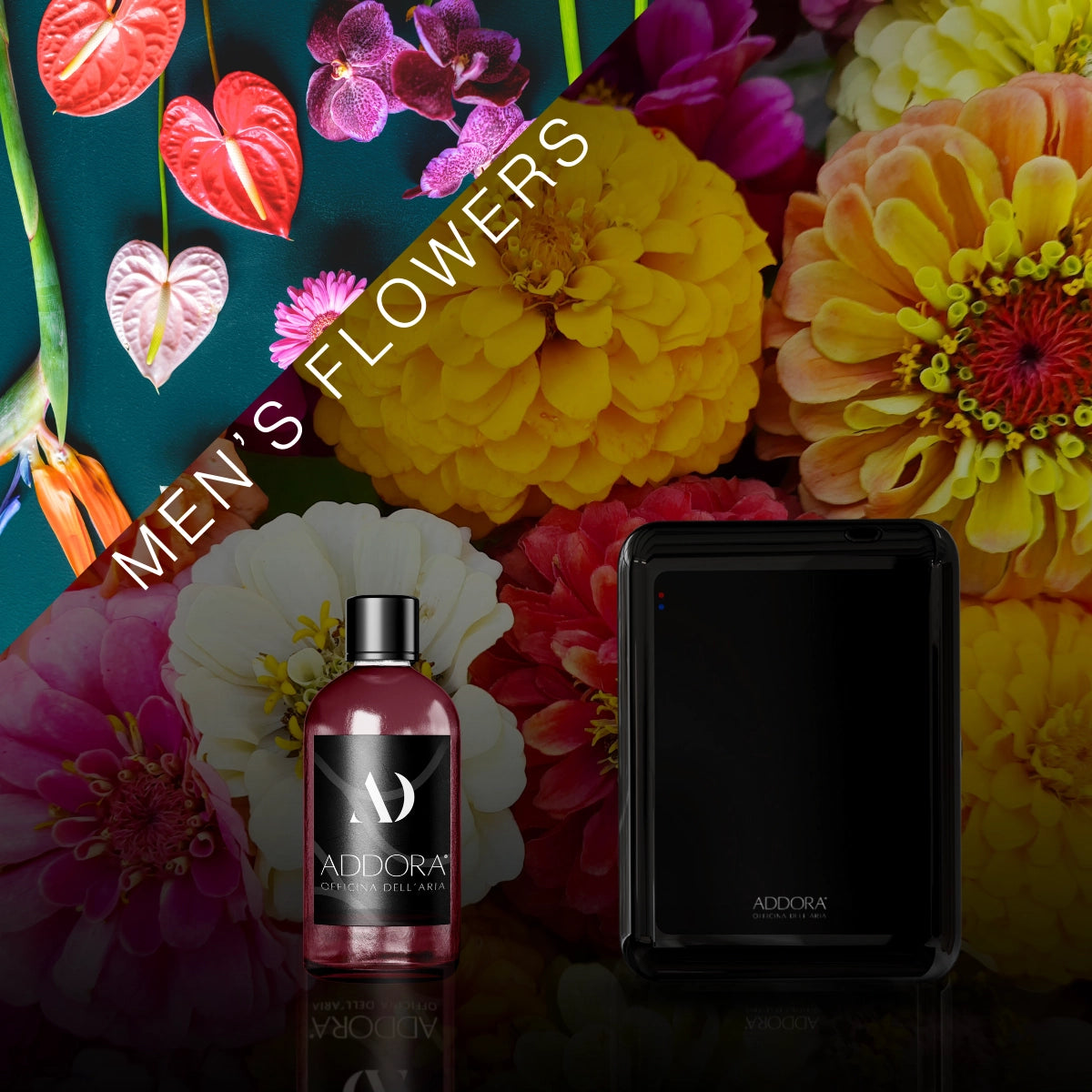 Kit Combo Nino + Fragranze Fiorito