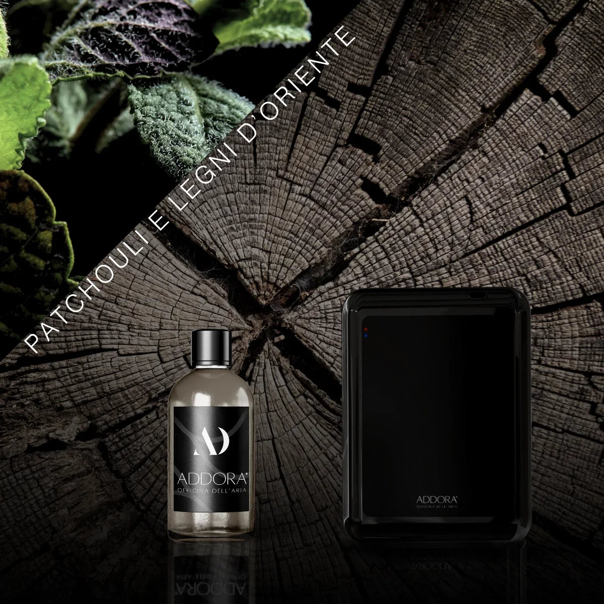 Kit Combo Nino + Fragranze Legnoso