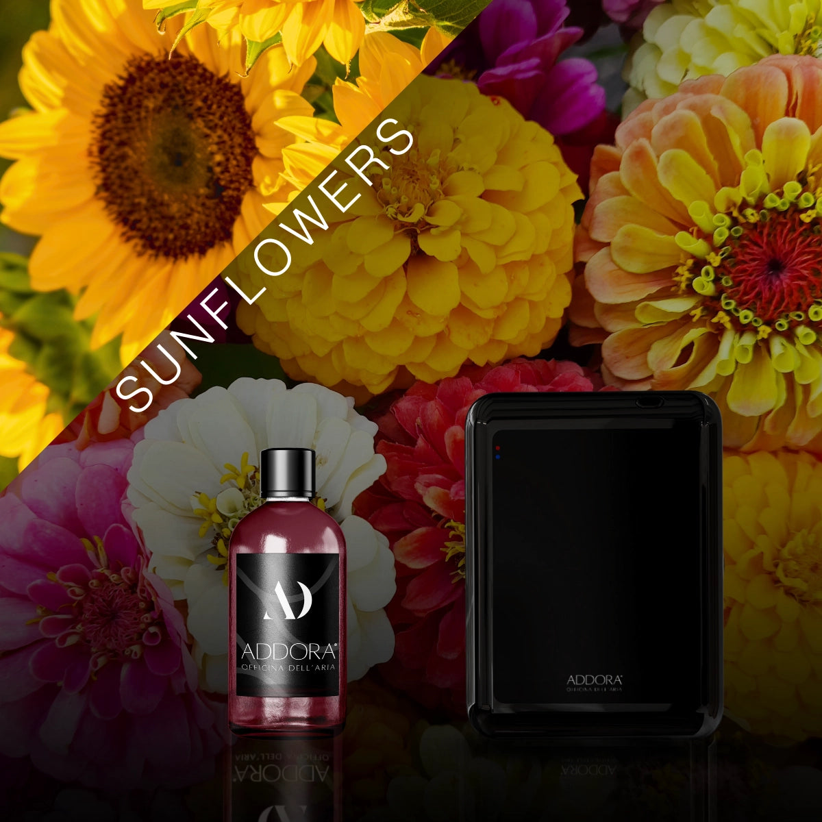 Kit Combo Nino + Fragranze Fiorito