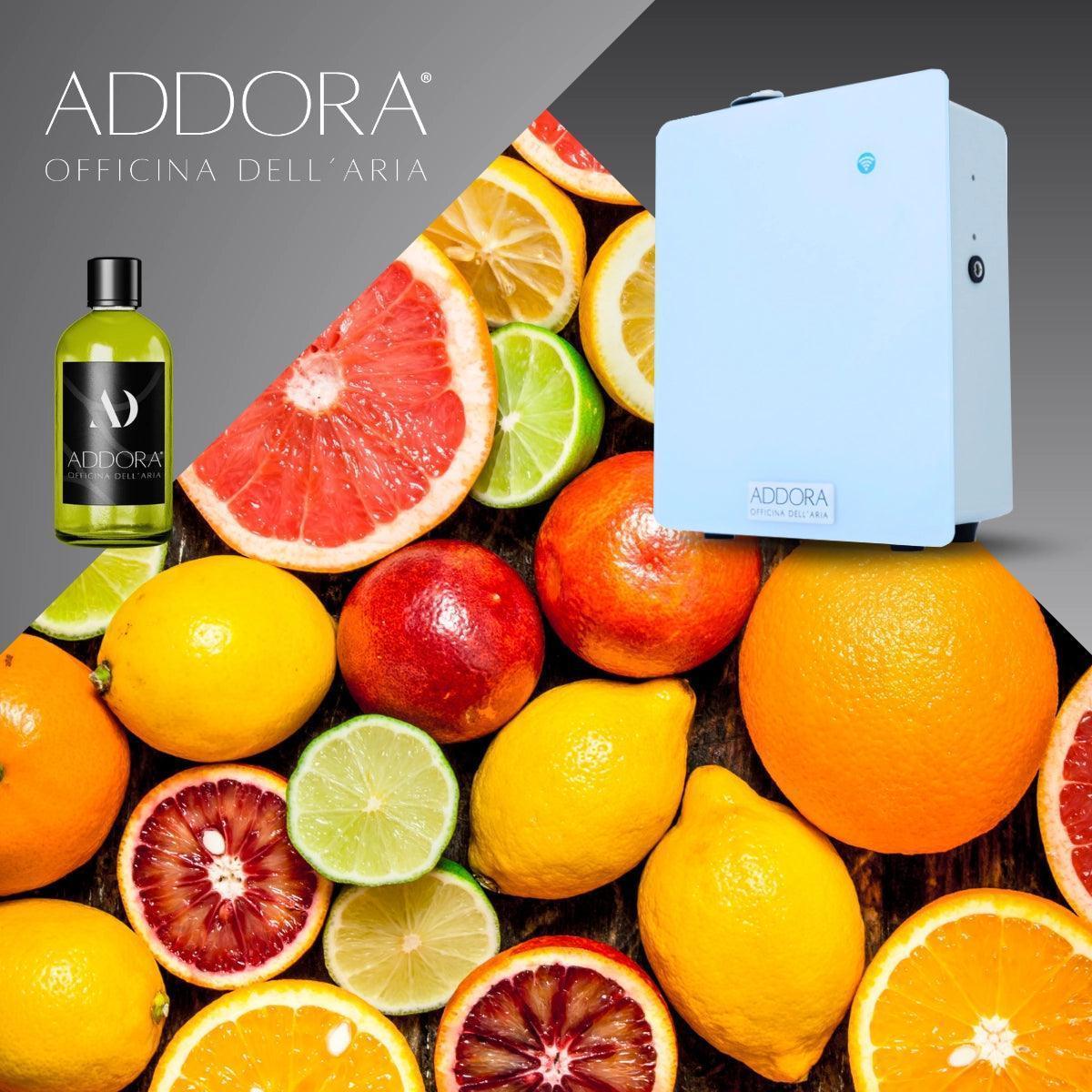 Fragranze | Categoria Agrumato - Addora officina dell'aria