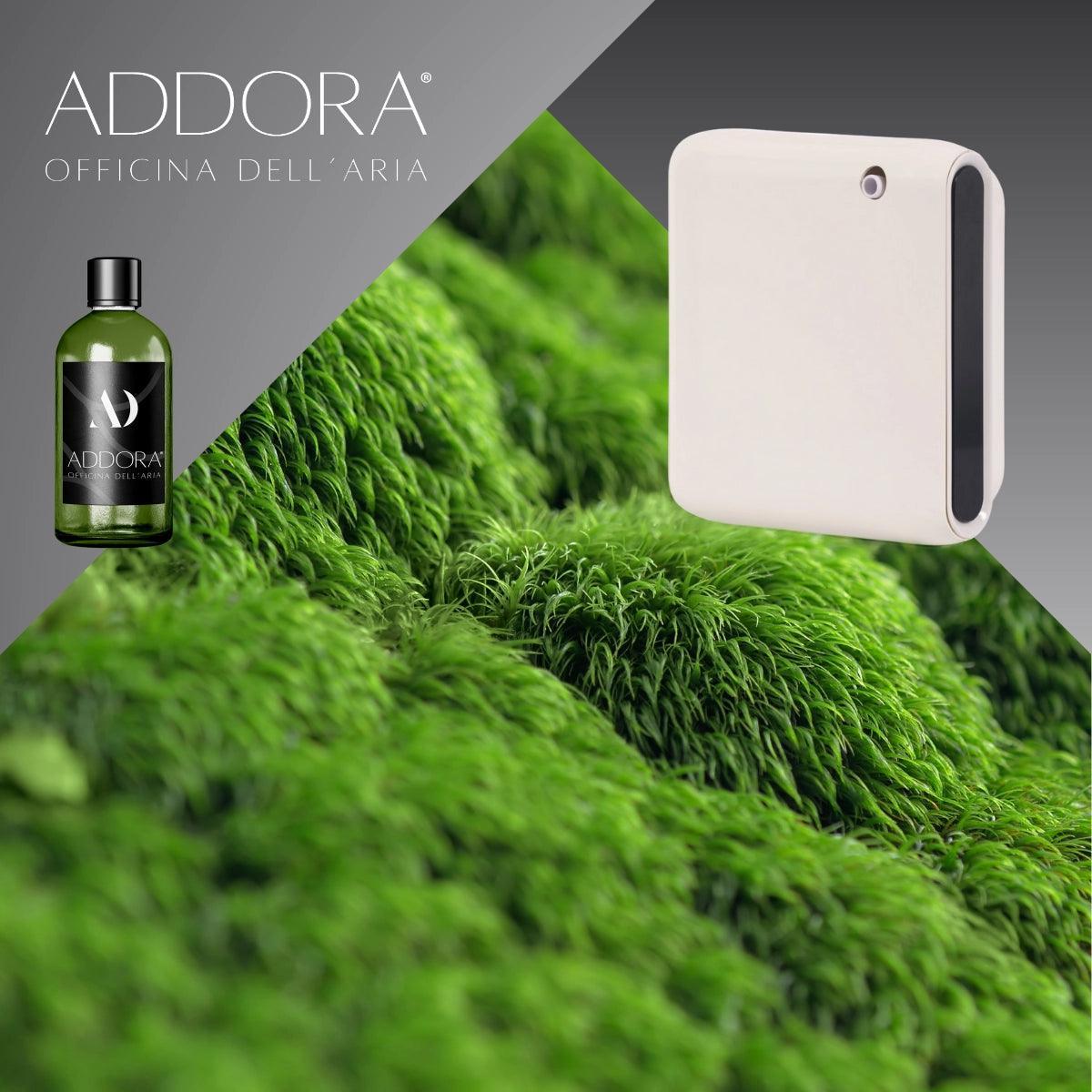 Kit Combo Narciso + Fragranza Green