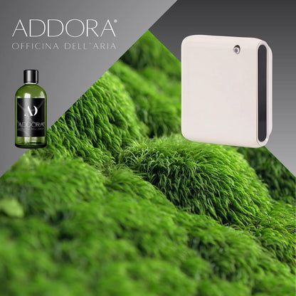 Kit Combo Narciso + Fragranza Green