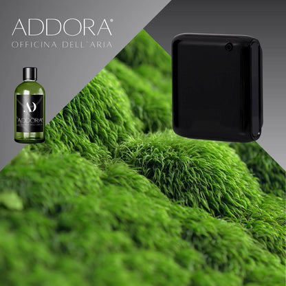 Kit Combo Narciso + Fragranza Green