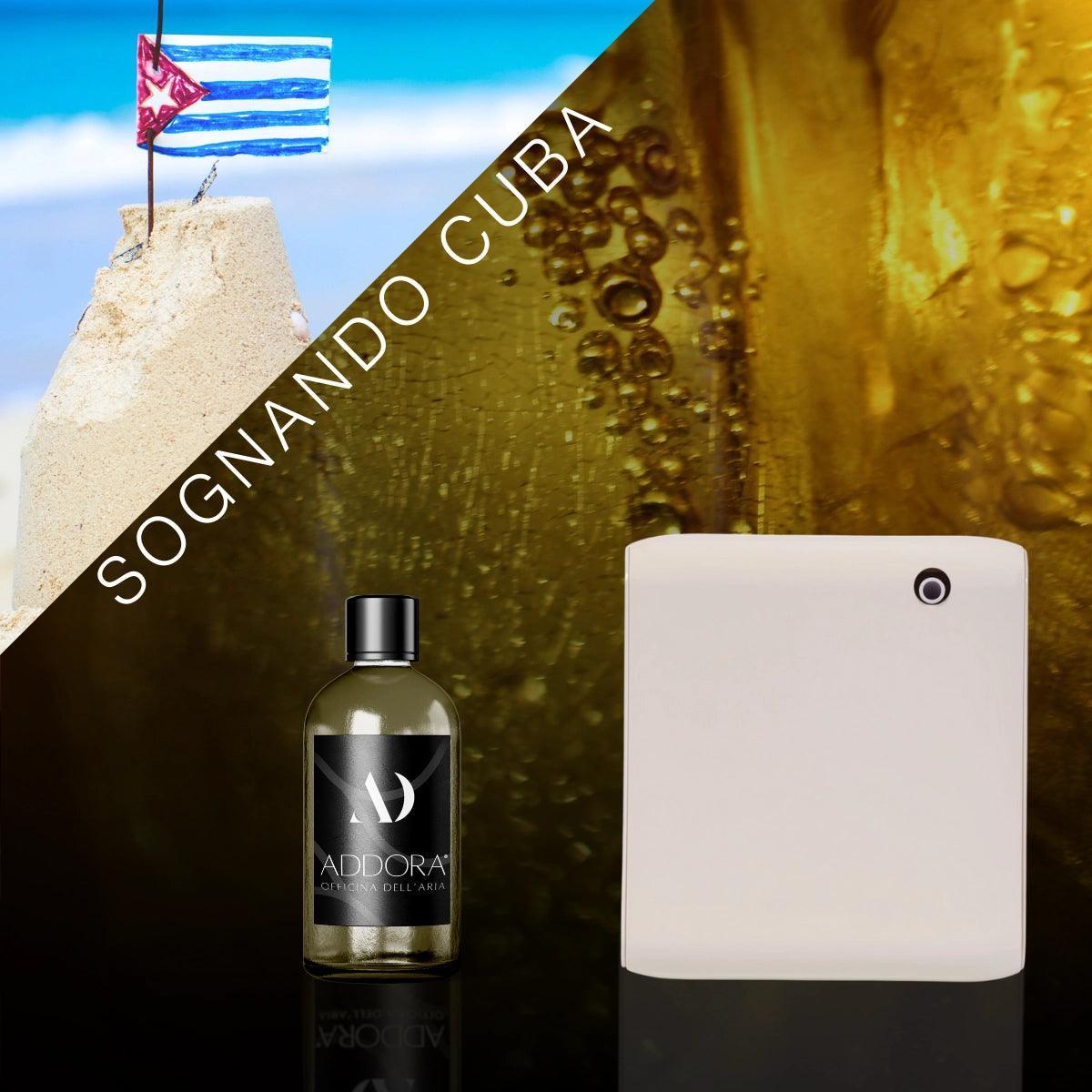 Kit Combo Narciso + Fragranza Ambrato