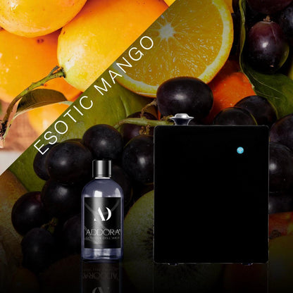 Kit Combo Hugo + Fragranza Fruttato