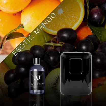 Kit Combo Chloè + Fragranza Fruttato