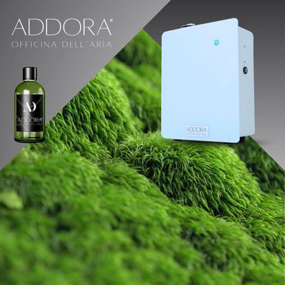 Fragranze | Categoria Green - Addora officina dell'aria