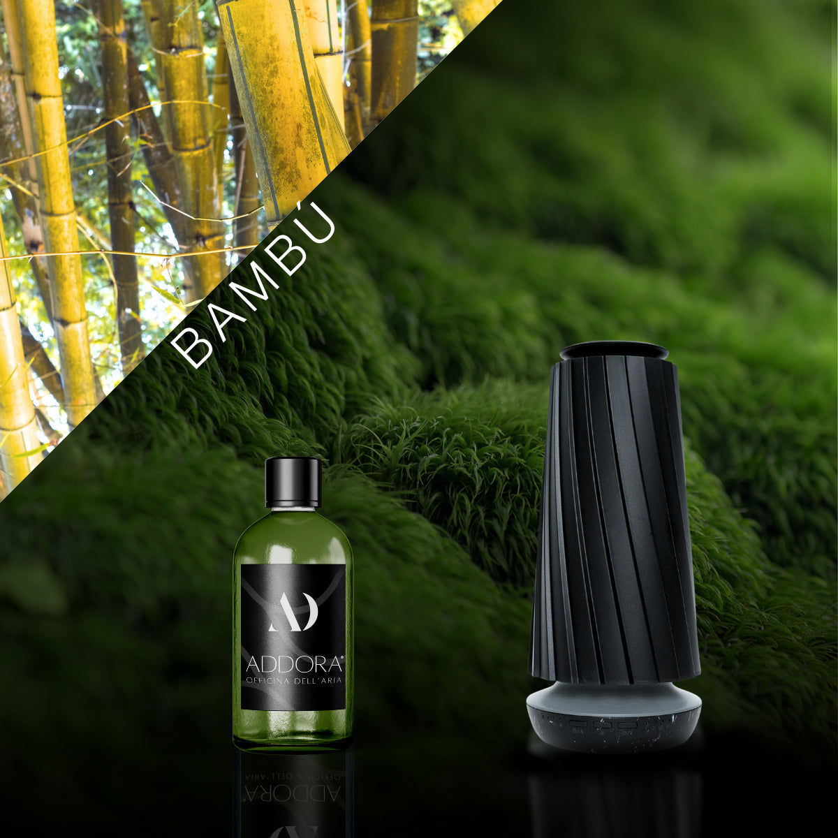 Kit Combo Dino + fragranze Green