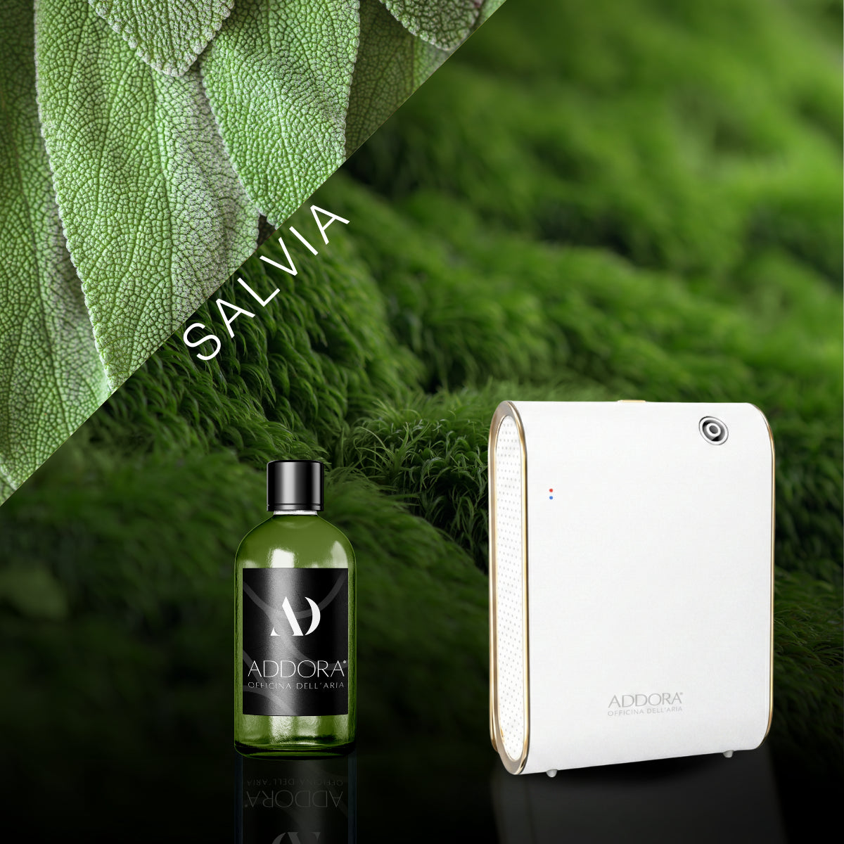 Kit Combo Celine + Fragranze Green