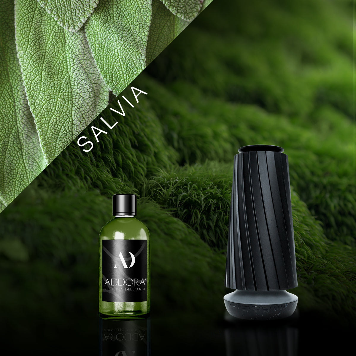 Kit Combo Dino + fragranze Green