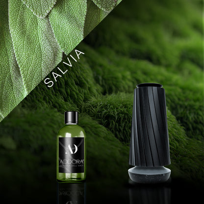 Kit Combo Dino + fragranze Green