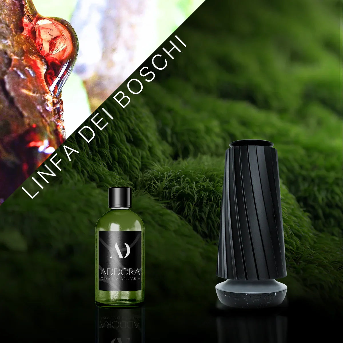 Kit Combo Dino + fragranze Green