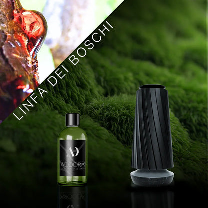 Kit Combo Dino + fragranze Green
