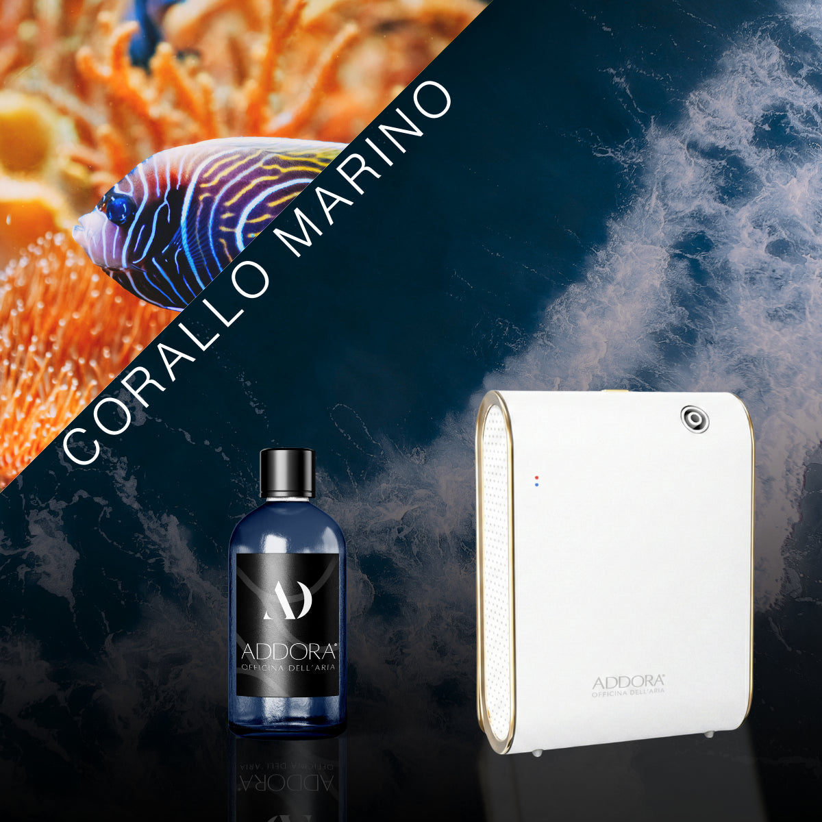 Kit Combo Celine + Fragranze Marino