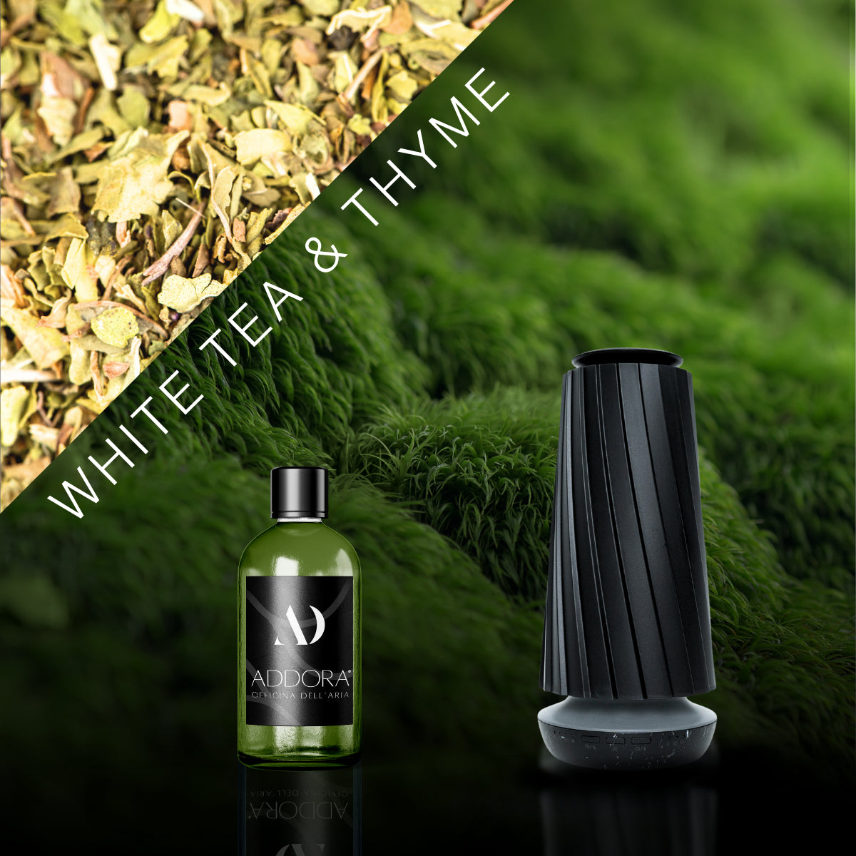 Kit Combo Dino + fragranze Green