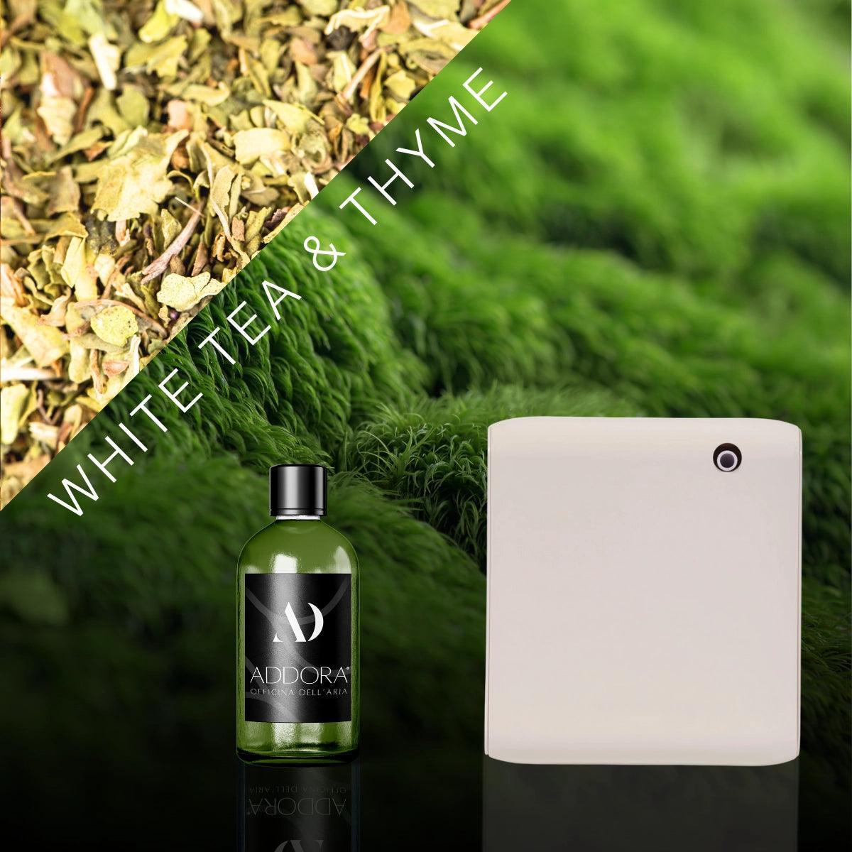 Kit Combo Narciso + Fragranza Green