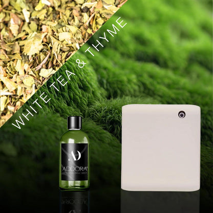 Kit Combo Narciso + Fragranza Green