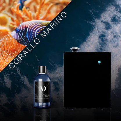 Kit Combo Hugo + Fragranza Marino
