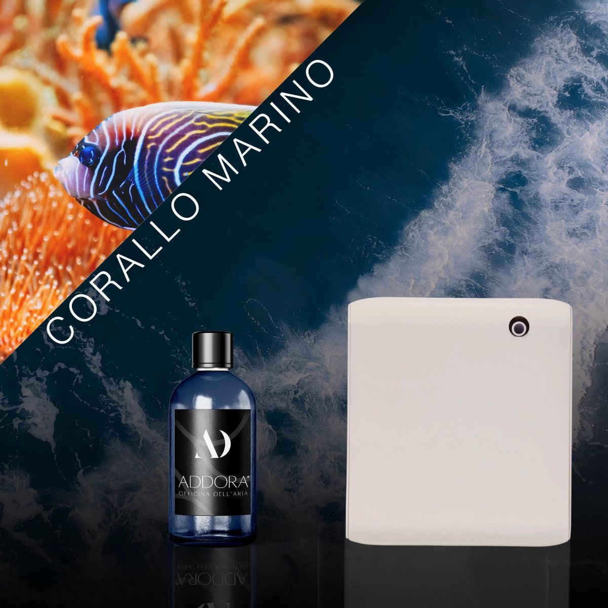 Kit Combo Narciso + Fragranza Marino